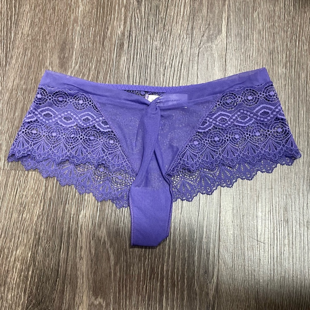 💜🐩Simone Perele🐩💜 Mesh & Lace Hipster - NWOT